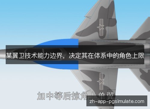 某翼卫技术能力边界，决定其在体系中的角色上限